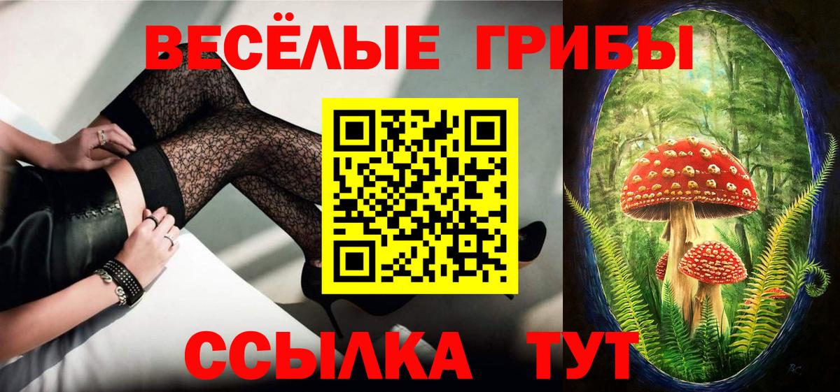 Галлюциногенные грибы GOLDEN TEACHER  Вход с VPN  даркнет сайт  Реутов 